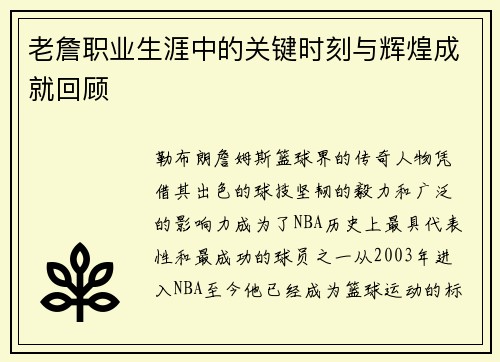 老詹职业生涯中的关键时刻与辉煌成就回顾