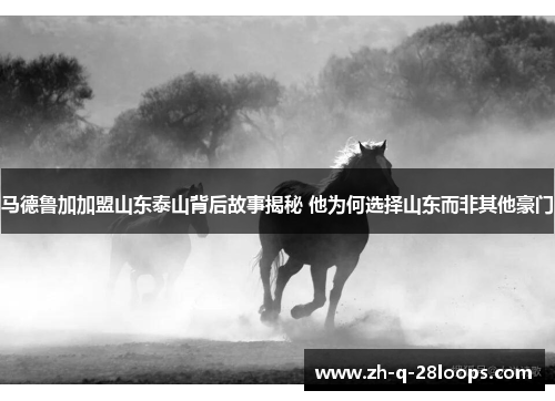 马德鲁加加盟山东泰山背后故事揭秘 他为何选择山东而非其他豪门